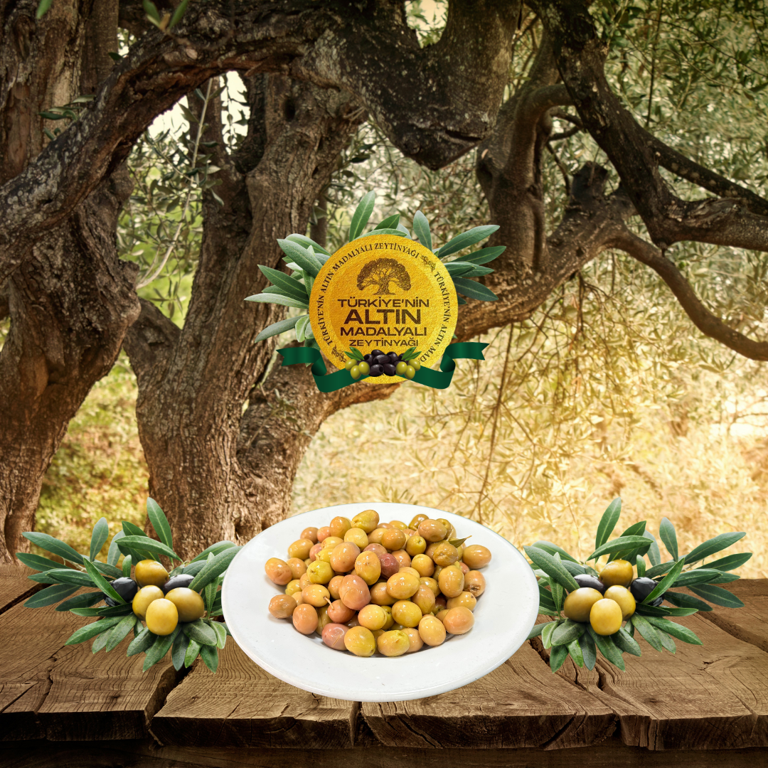 Duble Çizik Zeytin