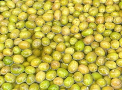 KIRMA ZEYTİN