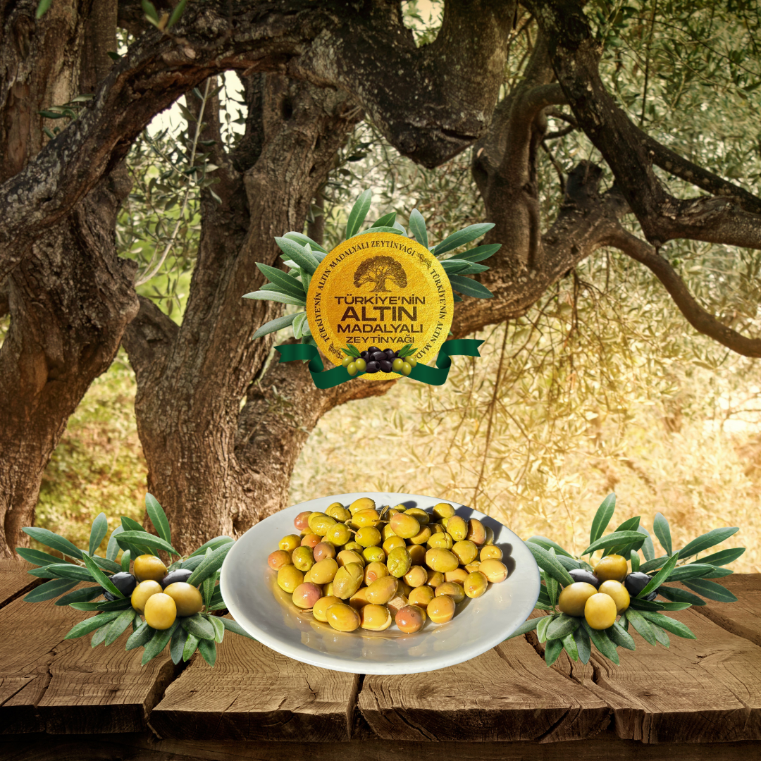 KIRMA ZEYTİN
